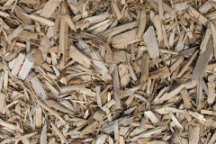 biomass boilers Forkill